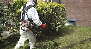 Kartal'da Bahar Temizliği