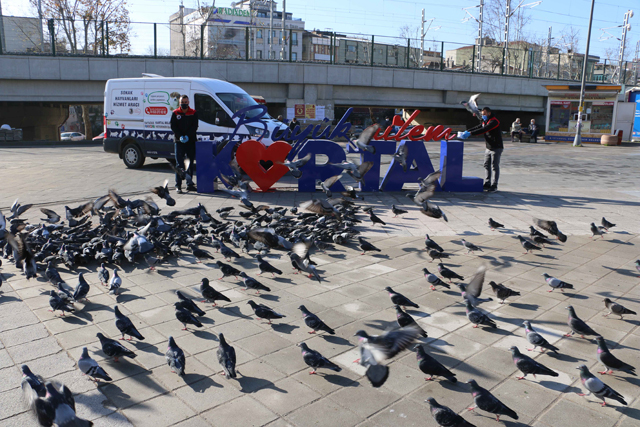 2021/01/1609833844_kartal_belediyesi,_4_guenluek_kisitlamada_sokak_hayvanlarini_unutmadi_(1).jpg