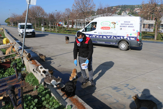 2021/01/1609833844_kartal_belediyesi,_4_guenluek_kisitlamada_sokak_hayvanlarini_unutmadi_(6).jpg