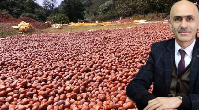 'Fındık en az 20 TL olmalı' dedi, 17 TL için teşekkür ilanı verdi