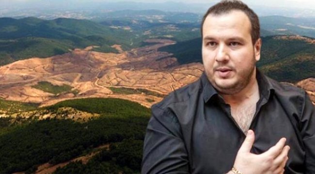 Şahan Gökbakar, Kazdağları'nda kesilen ağaçlardan dolayı Tarım ve Orman Bakanlığı'na isyan etti