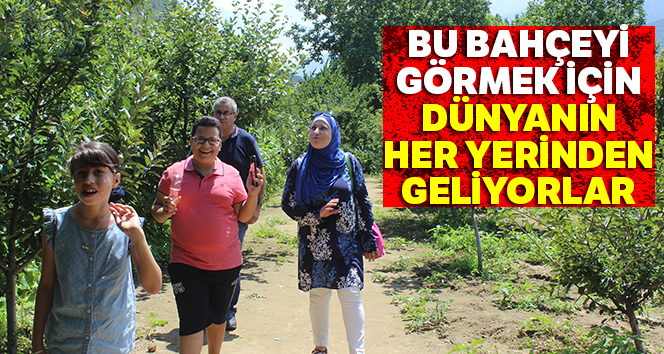 Bu bahçeyi görmek için dünyanın her yerinden geliyorlar