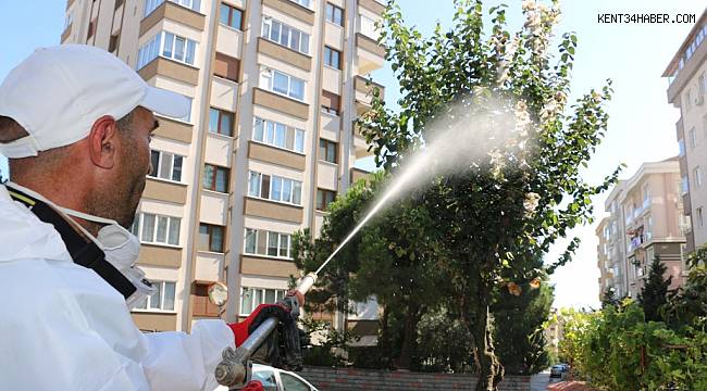 Kartal Belediyesi biyolojik mücadele başlattı