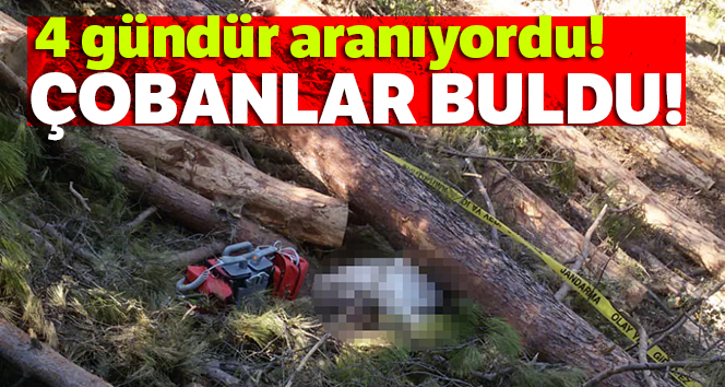 Kestiği ağacın altında kaldı, cesedi 4 gün sonra bulundu