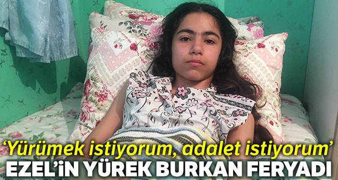 Boynuna saplanan makasla felç kalan Ezel’in yardım çığlığı