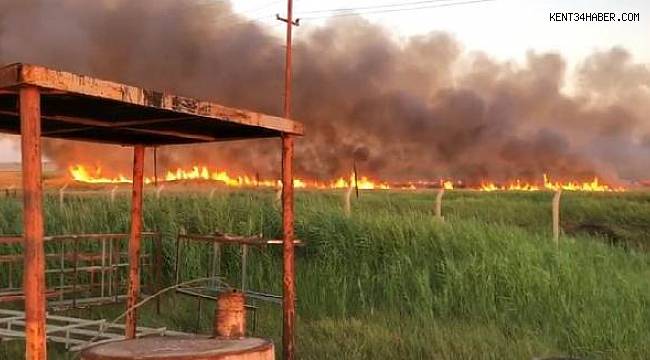 Sınırda çıkan yangın, petrol kuyularına sıçramadan kontrol altına alındı