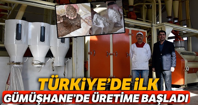 Türkiye’nin ilk karabuğday un ve bulgur tesisi Gümüşhane’de üretime başladı