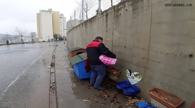 Maltepe'de 2019'da 15 bin sokak hayvanı tedavi edildi