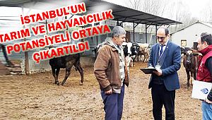 İstanbul’un Tarım ve Hayvancılık Veri Tabanı Hazır