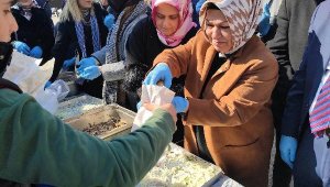 Sancaktepeliler hamsiye doydu!