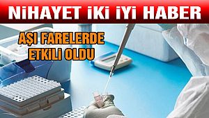 Coronavirüs ile İlgili Heyecanlandıran Haberler!
