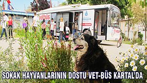 Sokak Hayvanlarının Dostu VET-BÜS Kartal'da