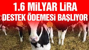 Destek Ödemesi Bugün Başlıyor!