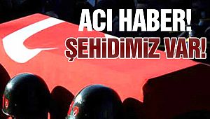 PKK'dan Hain Saldırı!