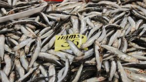 Uzmanlardan Akciğer Sağlığı İçin 'Balık Tüketin' Önerisi