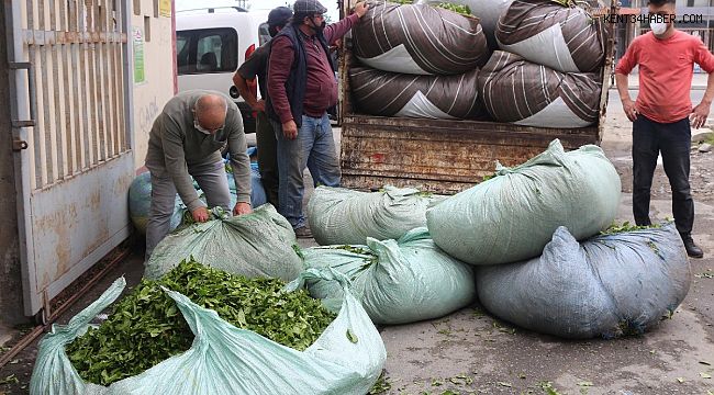 50 bin kişi yollara düştü