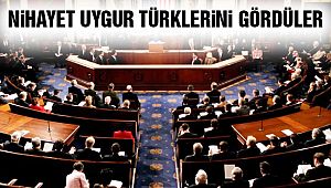 ABD Senatosu'ndan 