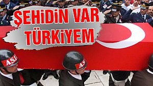 Bitlis'ten Acı Haber! 2 Askerimiz Şehit Düştü!