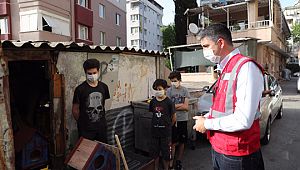 Genç Stajyer, Sokak Kedilerine Ev Tasarlıyor