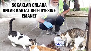 Kartal Belediyesi Sevimli Dostları Unutmadı!