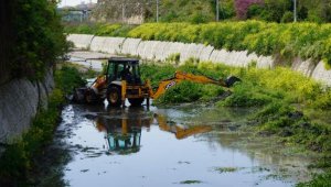 Sivrisinek Mücadelesi Larvalardan Başlıyor