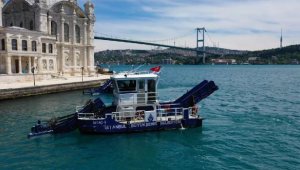 Beşiktaş Sahilleri Temizleniyor