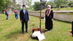 Bebekler İçin Ağaç Diktiler!