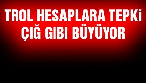 Trol Hesaplar Ortalık Karıştırmaya Devam Ediyor!