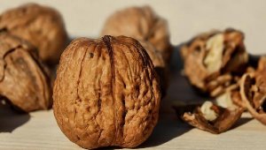 Ceviz kabuğu mucizesi: 6 günde etkisini gösteriyor