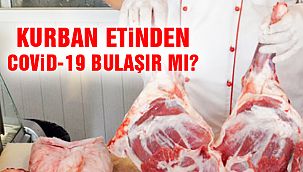 COVID-19 Kurban Etinden Bulaşır Mı? 