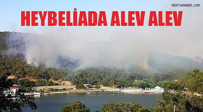 Heybeliada yanıyor