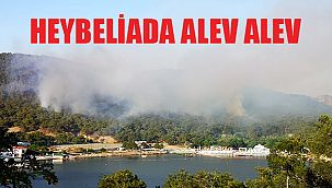 Heybeliada yanıyor