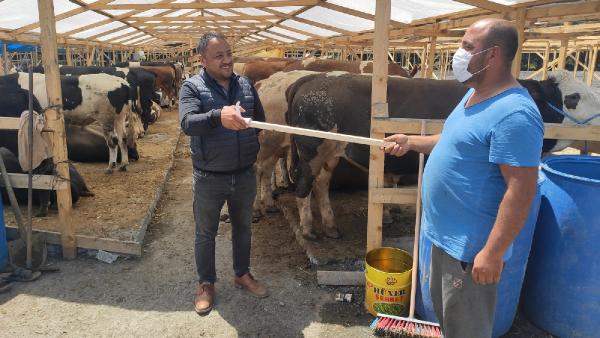 Kurban pazarlarında hareketlilik başladı