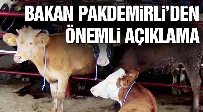 Bakan Pakdemirli'den Elde Kalan Kurbanlıklarla İlgili Flaş Açıklama!