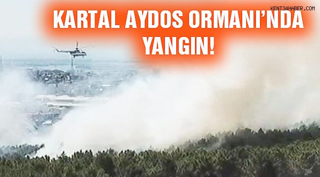 Kartal AYDOS Ormanı Yanıyor!