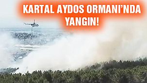 Kartal AYDOS Ormanı Yanıyor!