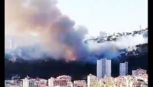 Maltepe'de Orman Yangını!