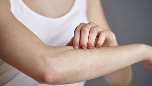 Yaz Sıcaklarındaki Gizli Tehlike: Samyeli Mantarı