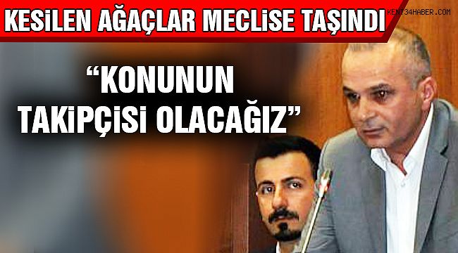 Gödekdağ: "Ağaç Katliamının Takipçisi Olacağız"