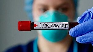 Japon bilim adamlarından korona ile ilgili şok eden açıklama