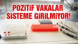 Pozitif Sonuçların Sisteme Girilmemesi Filyasyona Zarar Verir