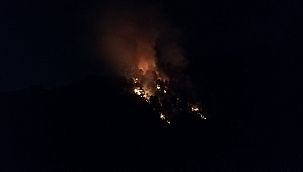 Aydos Ormanı alevlere teslim oldu