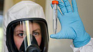 Bilim insanlarından koronavirüs açıklaması