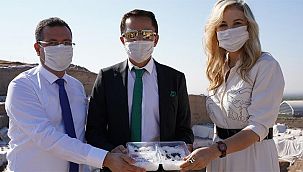 Binlerce yıllık eşsiz lezzet: Kilis zeytinyağı