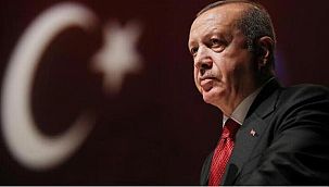 Cumhurbaşkanı Erdoğan'dan Geert Wilders hakkında suç duyurusu