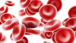 Demir eksikliği anemisine ne iyi gelir?