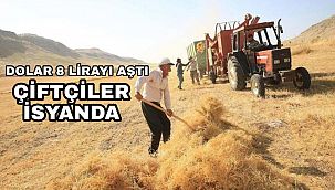 Dolar 8 lirayı aştı, çiftçiler zorda