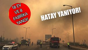 Hatay'da ormanlık alanda çıkan yangın yerleşim yerlerine sıçradı