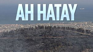 Hatay'ın yangın tahribatı