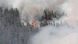 Kastamonu'da iki farklı noktada yangın çıktı
